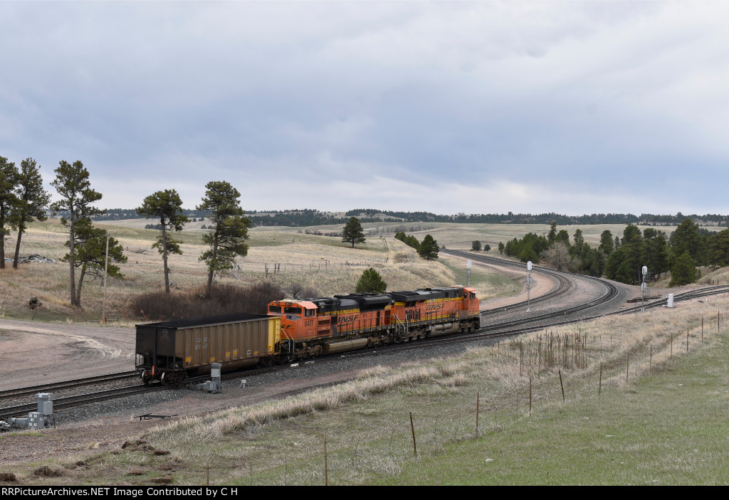 BNSF 6319/8477